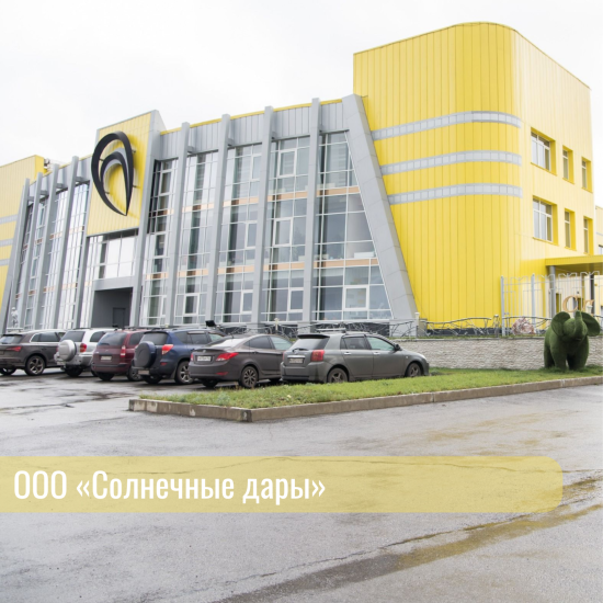 Как комплексная поддержка помогает бизнесу развиваться и выходить на новые рынки